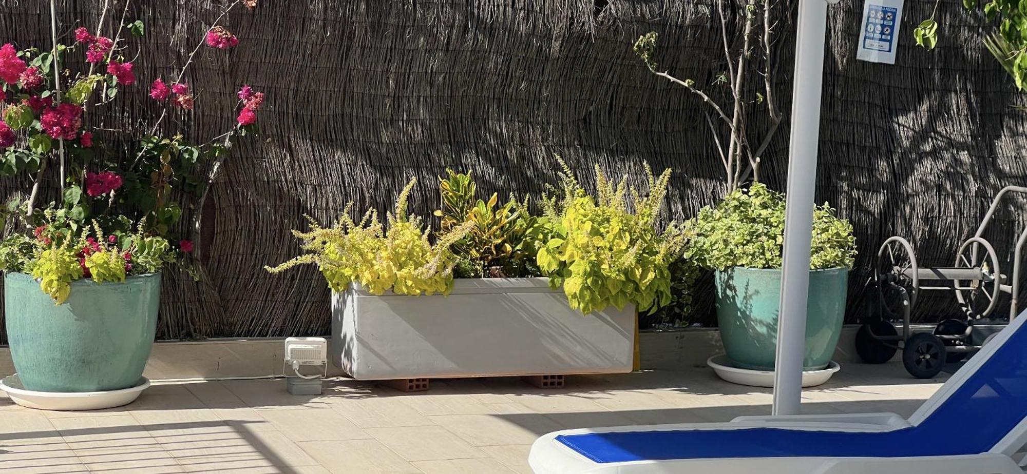 Ancla Real Apartamentos Loft El Puerto de Santa María Kültér fotó