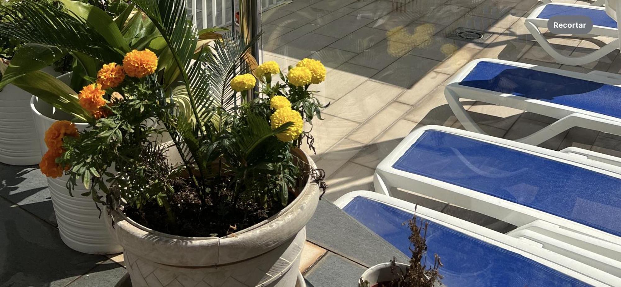 Ancla Real Apartamentos Loft El Puerto de Santa María Kültér fotó