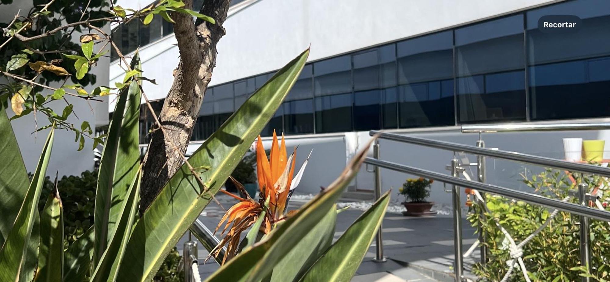 Ancla Real Apartamentos Loft El Puerto de Santa María Kültér fotó