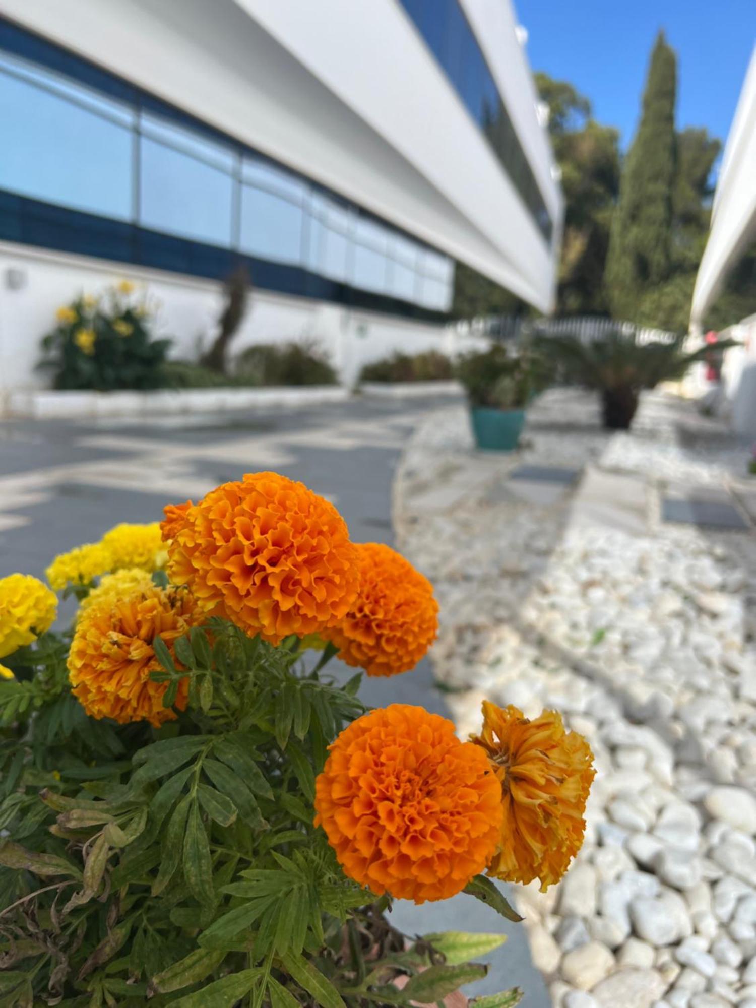Ancla Real Apartamentos Loft El Puerto de Santa María Kültér fotó