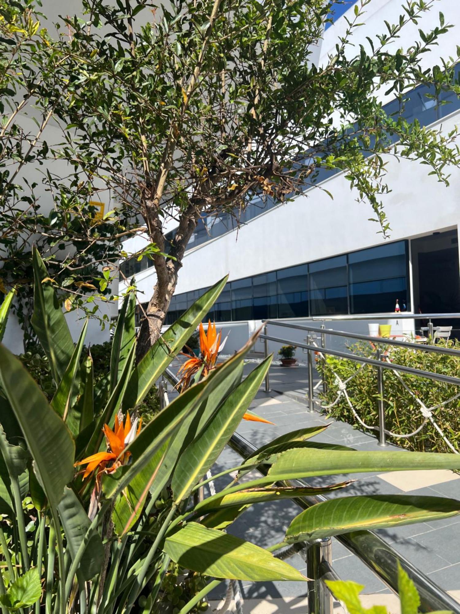 Ancla Real Apartamentos Loft El Puerto de Santa María Kültér fotó
