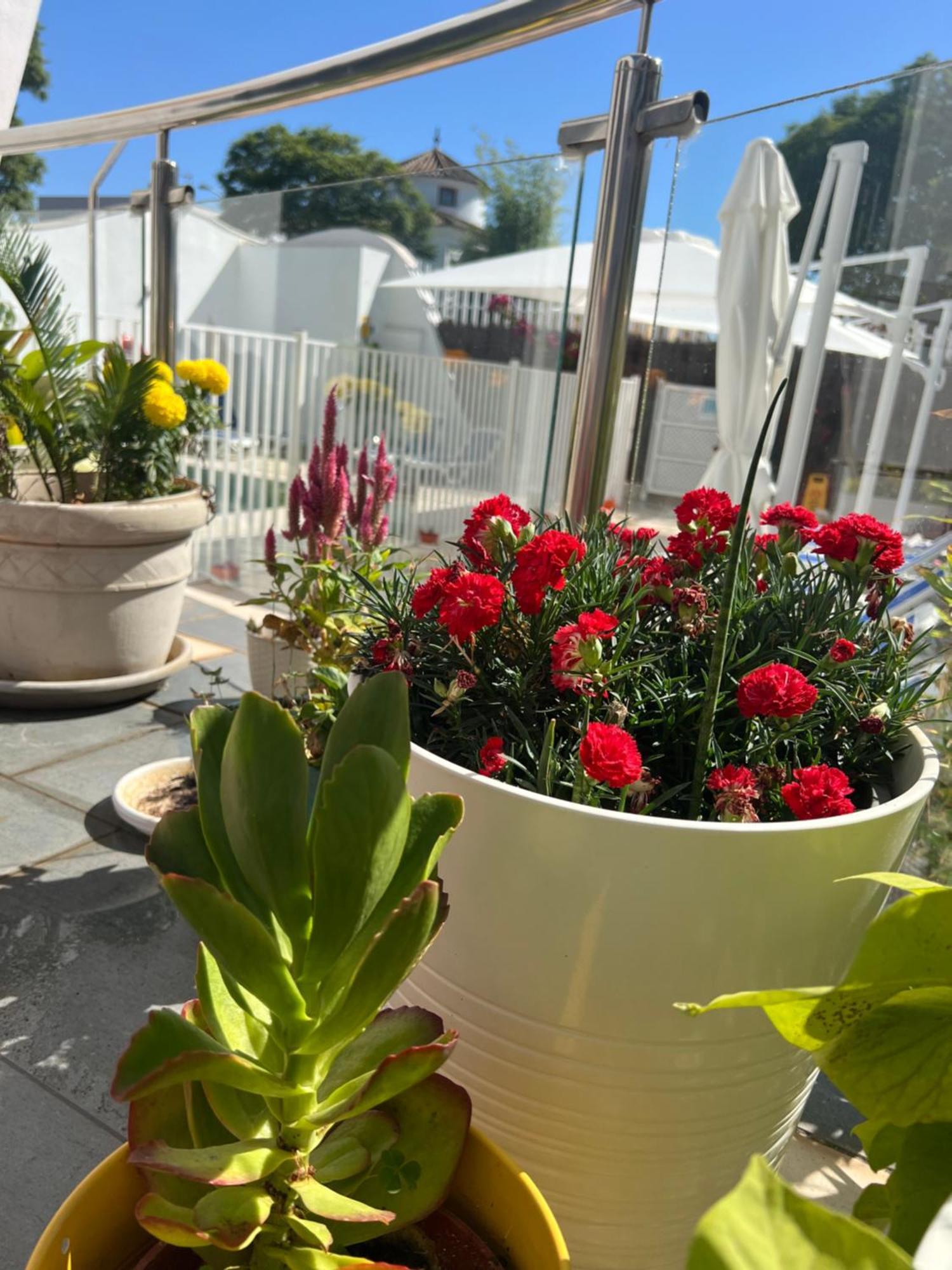 Ancla Real Apartamentos Loft El Puerto de Santa María Kültér fotó